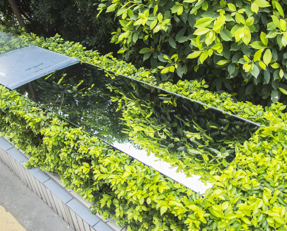 A large mirror placed among the flowers won't sink