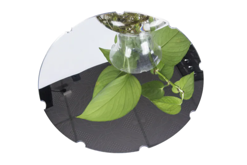 Processed round mirror