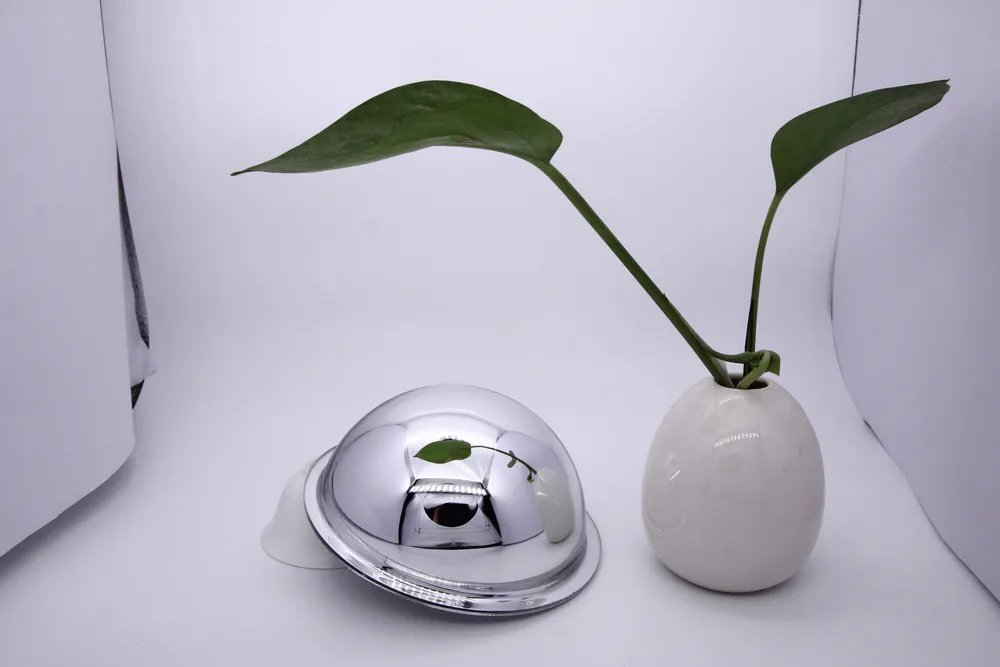 Posing with a small domed mirror with an edge