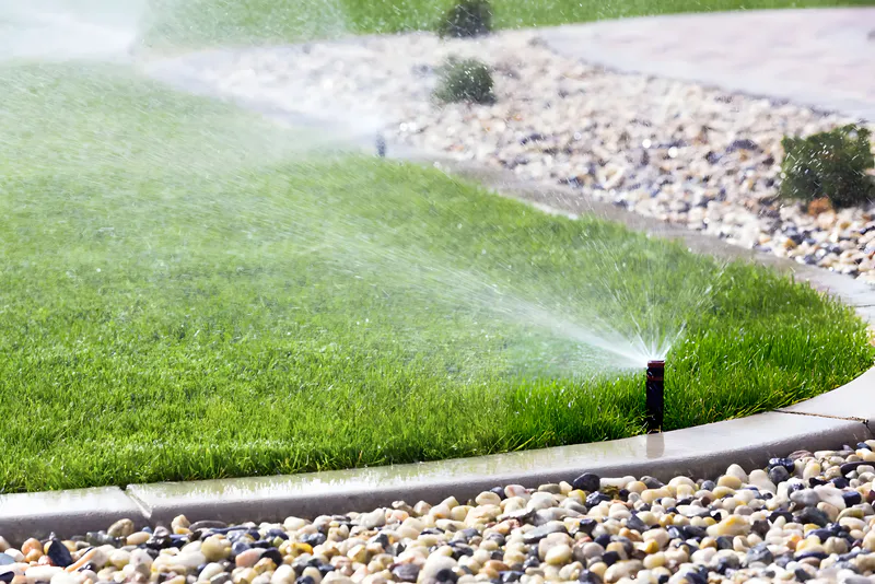 Outdoor showerhead