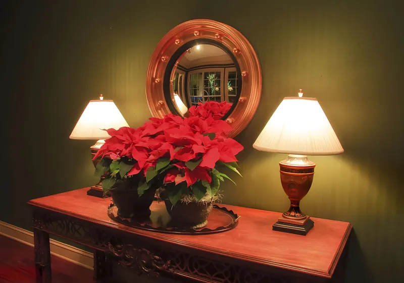 Convex mirror for interior decoration