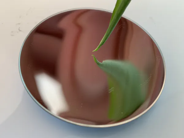 PS concave mirror